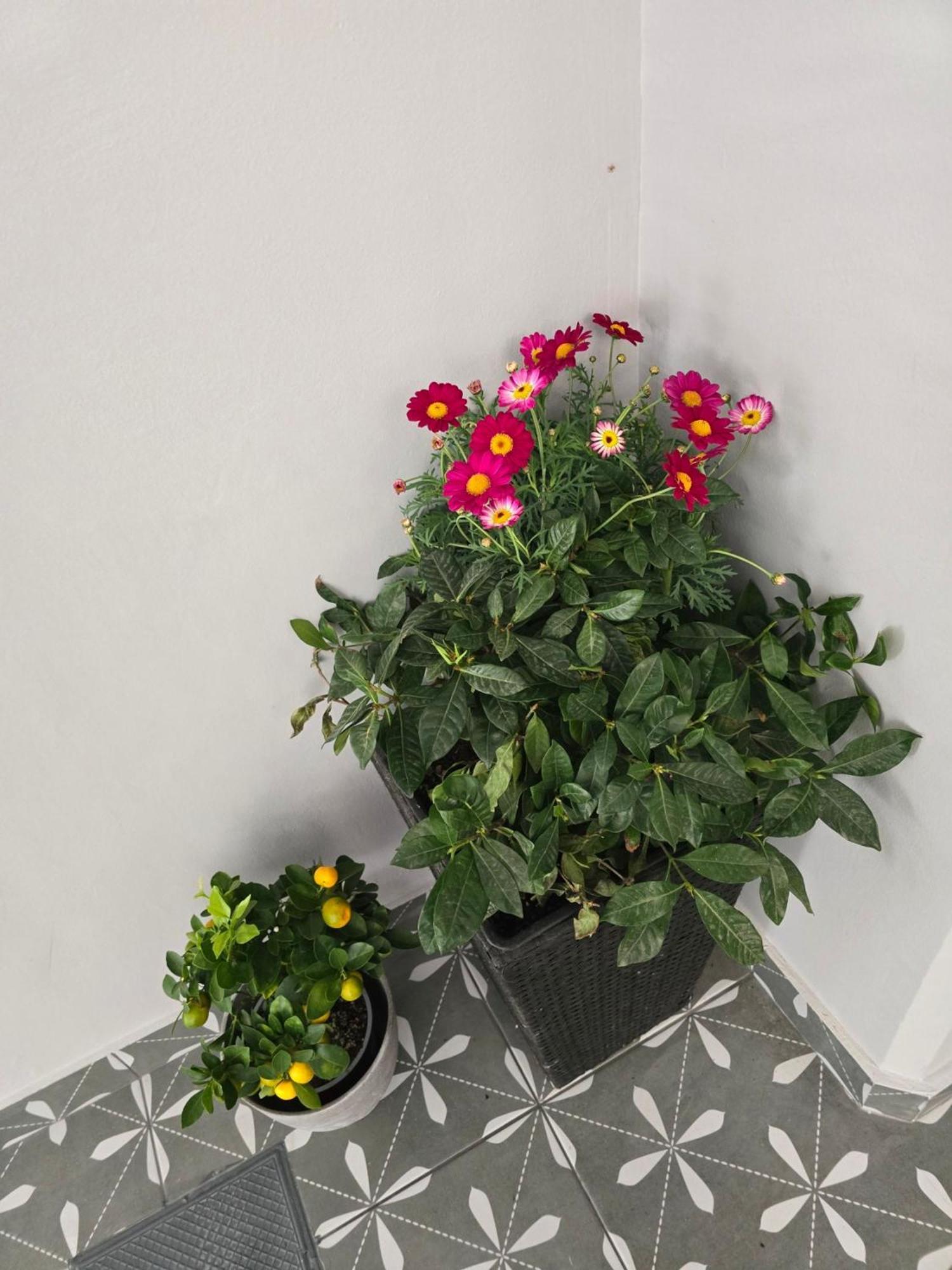 Glyfada'S Cosy Apartments Atenas Exterior foto